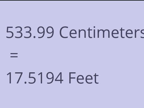 533.99 CM TO FEET