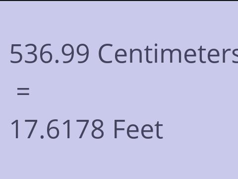 536.99 CM TO FEET