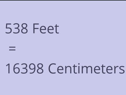 538 FEET TO CM