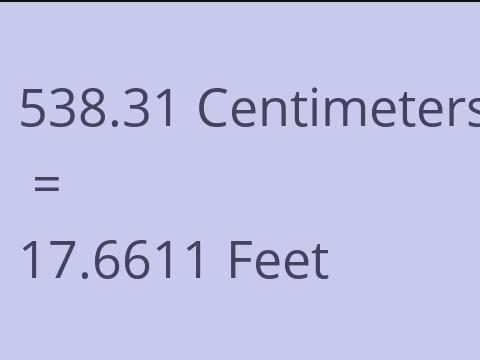 538.31 CM TO FEET