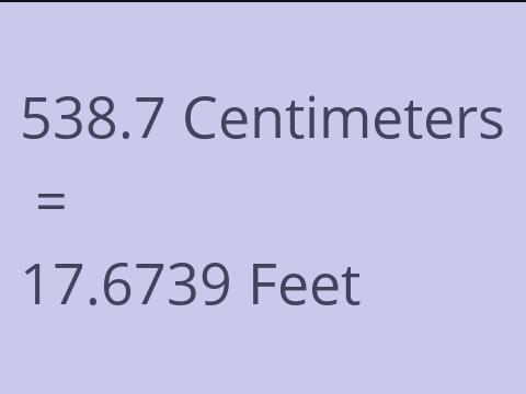 538.7 CM TO FEET