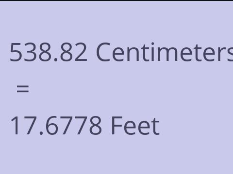 538.82 CM TO FEET