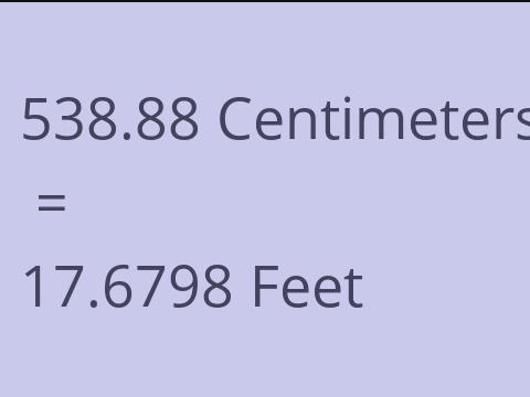 538.88 CM TO FEET