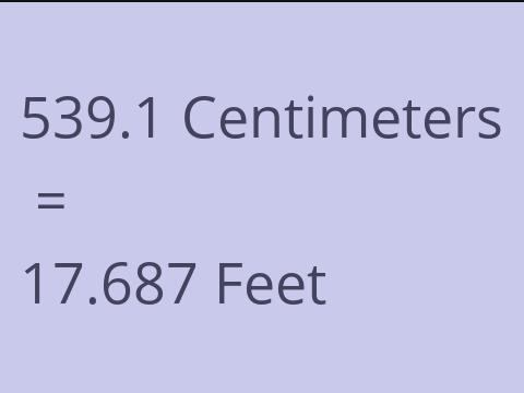 539.1 CM TO FEET