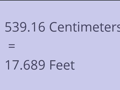 539.16 CM TO FEET