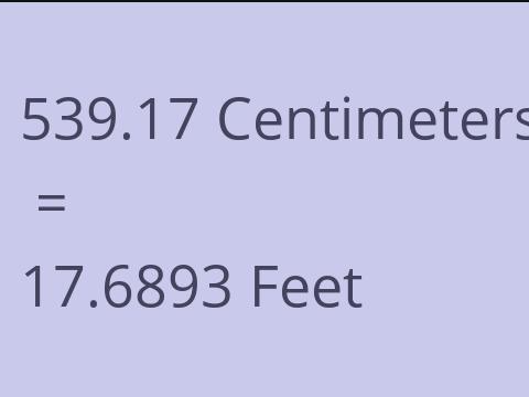 539.17 CM TO FEET