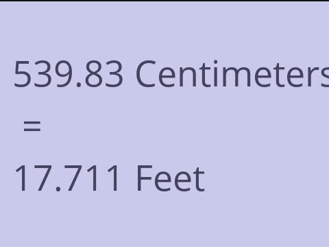 539.83 CM TO FEET