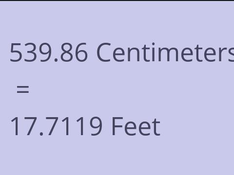 539.86 CM TO FEET