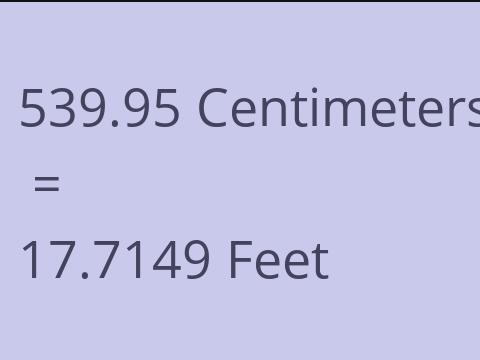 539.95 CM TO FEET