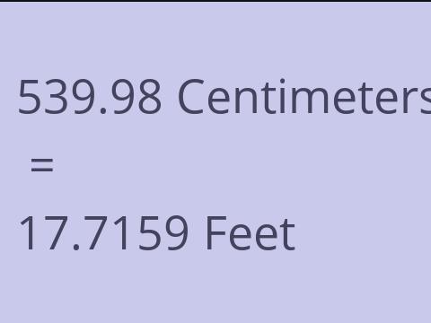 539.98 CM TO FEET