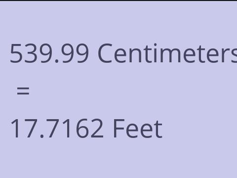 539.99 CM TO FEET