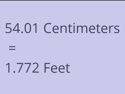 54.01 CM TO FEET