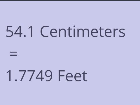 54.1 CM TO FEET