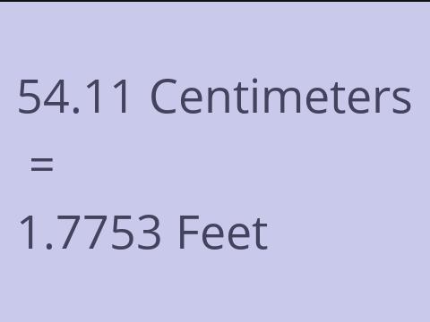 54.11 CM TO FEET