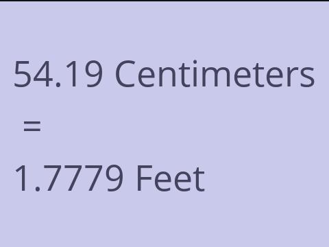 54.19 CM TO FEET