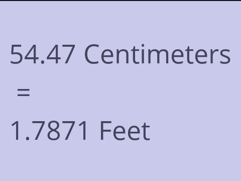 54.47 CM TO FEET