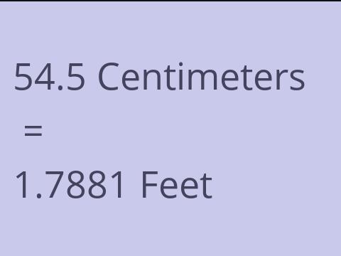 54.5 CM TO FEET