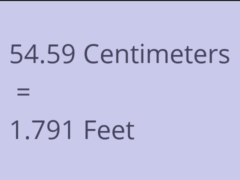 54.59 CM TO FEET