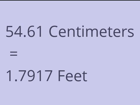 54.61 CM TO FEET