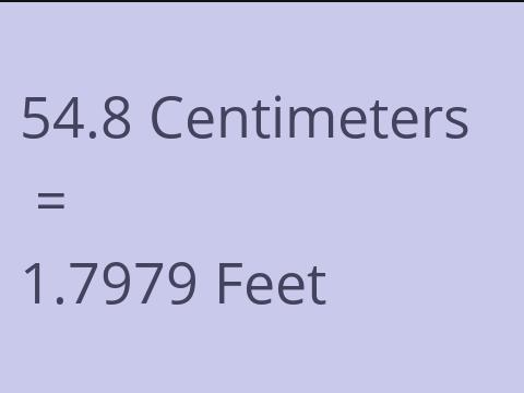 54.8 CM TO FEET