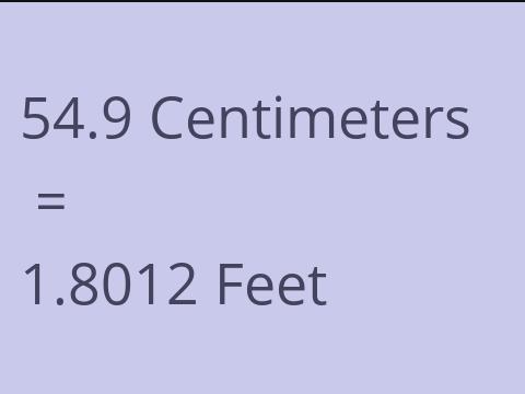 54.9 CM TO FEET