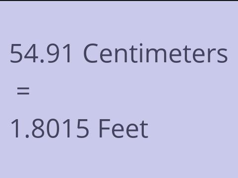 54.91 CM TO FEET