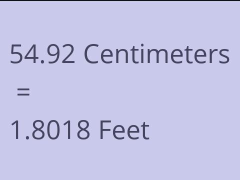 54.92 CM TO FEET