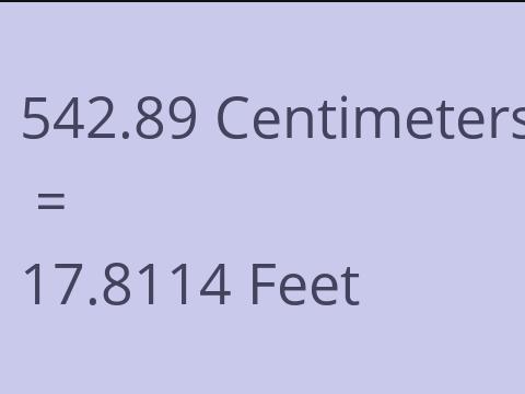 542.89 CM TO FEET