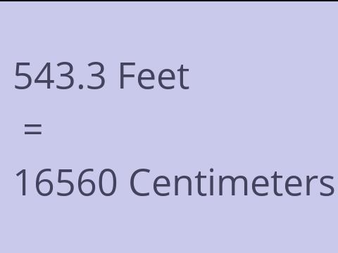 543.3 FEET TO CM