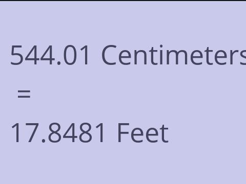 544.01 CM TO FEET