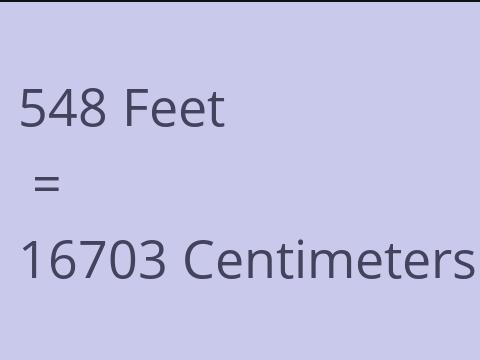 548 FEET TO CM