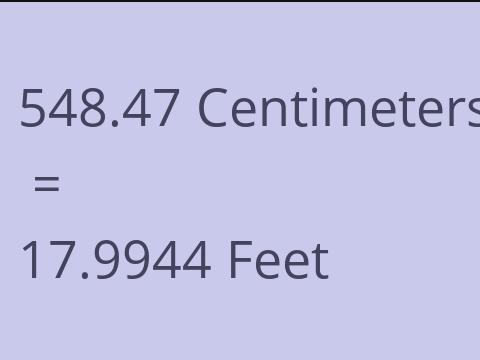 548.47 CM TO FEET