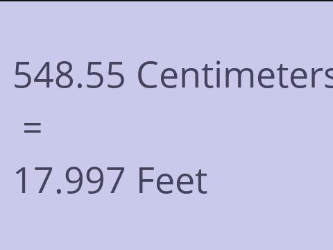 548.55 CM TO FEET