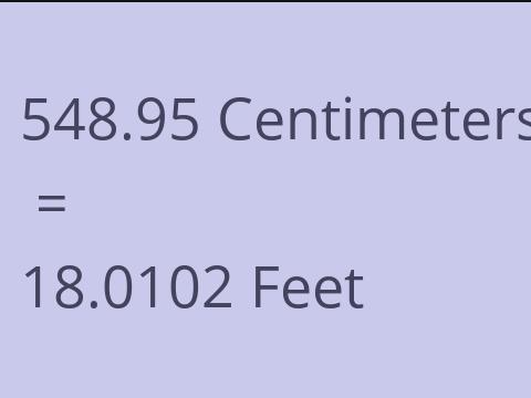 548.95 CM TO FEET