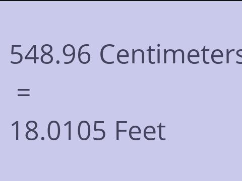 548.96 CM TO FEET