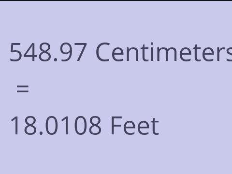 548.97 CM TO FEET