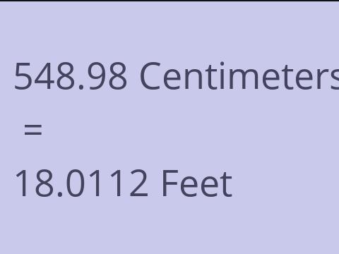 548.98 CM TO FEET