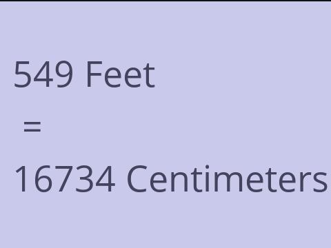 549 FEET TO CM