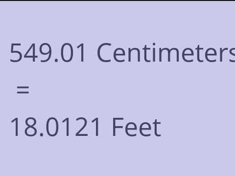 549.01 CM TO FEET