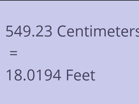 549.23 CM TO FEET