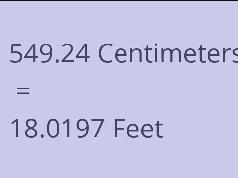 549.24 CM TO FEET