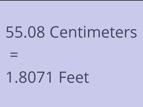 55.08 CM TO FEET