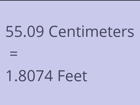 55.09 CM TO FEET