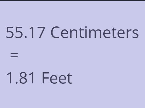 55.17 CM TO FEET