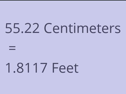 55.22 CM TO FEET