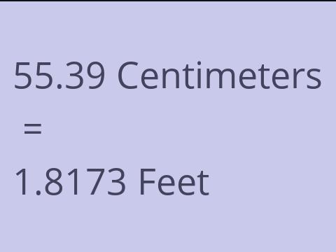 55.39 CM TO FEET