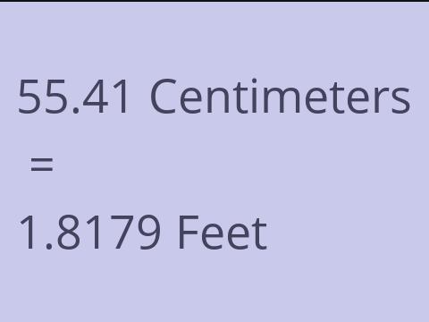 55.41 CM TO FEET