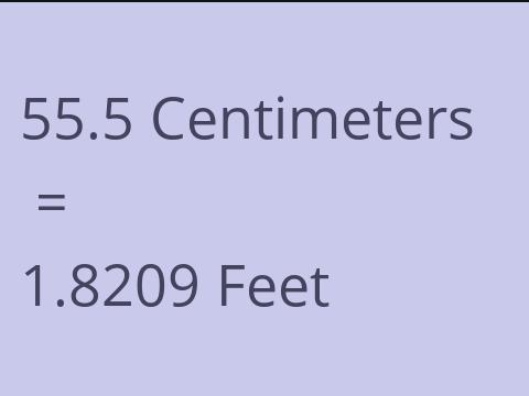 55.5 CM TO FEET