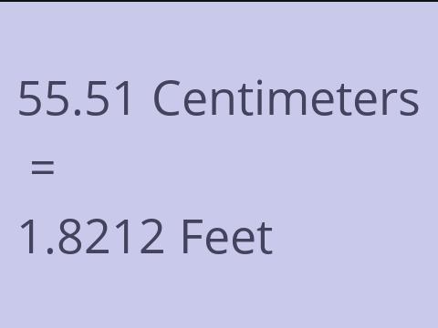 55.51 CM TO FEET