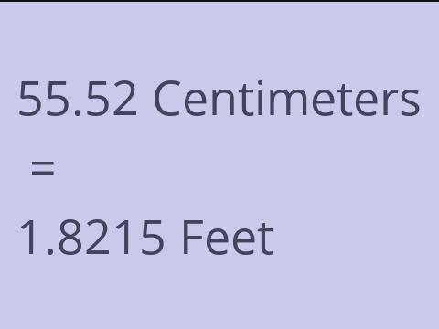 55.52 CM TO FEET